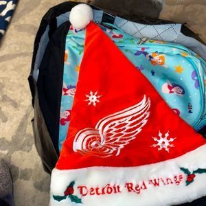 Detroit Red Wings Santa Hat